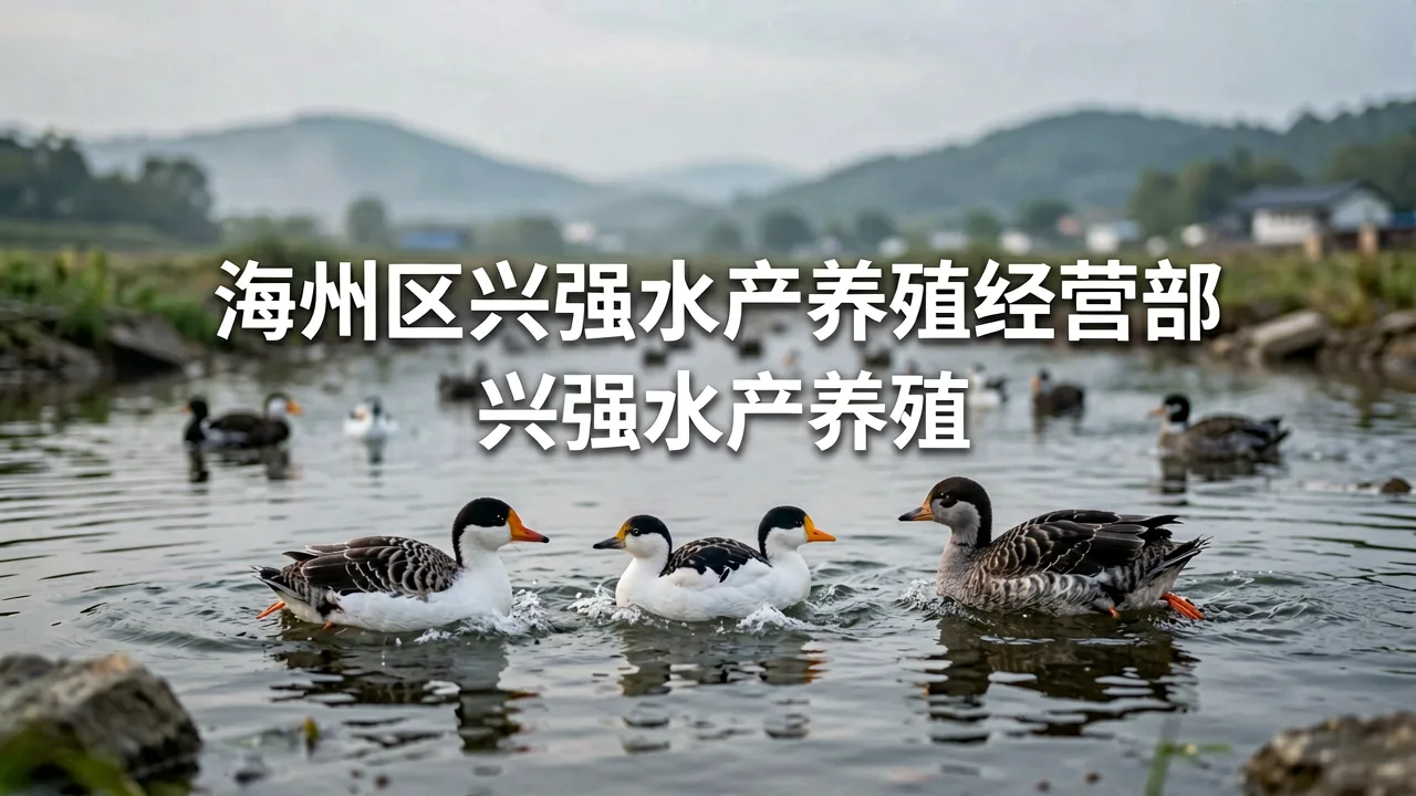 海州水产养殖的鲜活之道：从塘口到餐桌的细节把控